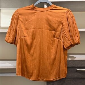 Anthropologie Rust Puff Sleeve Blouse